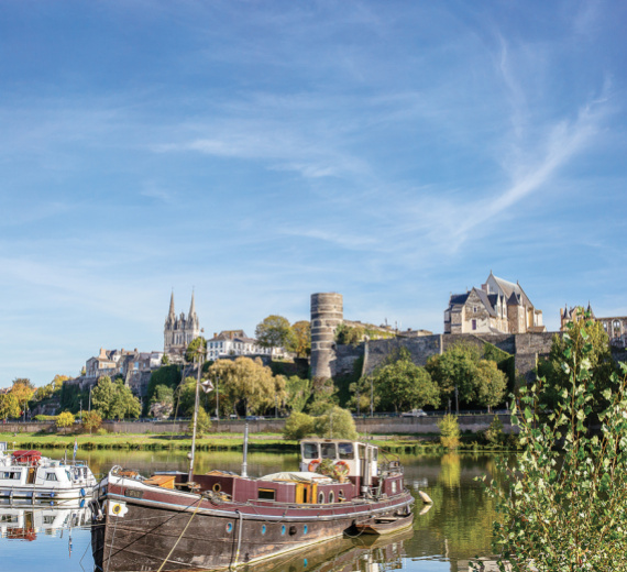 Image Le Angers de Joanne O Joan