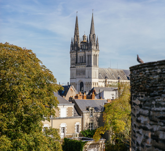 Image Les rendez-vous du week-end à Angers