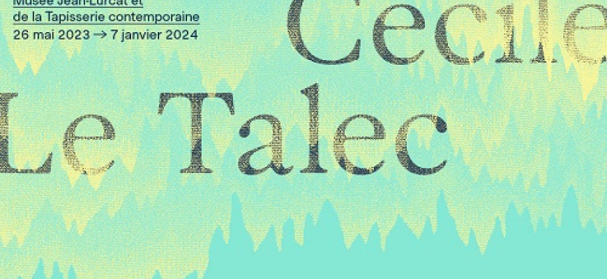 Cécile Le Talec Art contemporain
