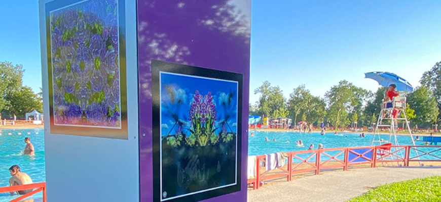Expositions « reliance » et « viv(r)e le sport » Photographie