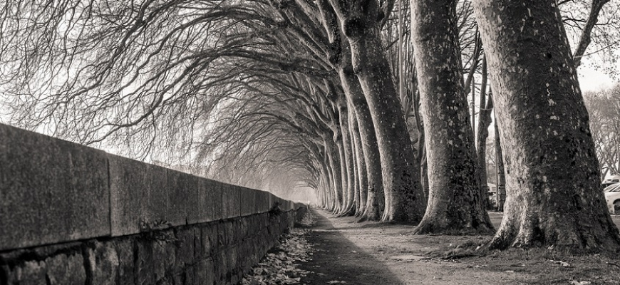 Lo Kee, Ombres et lumières, un regard sur le patrimoine de l’Anjou  Photographie