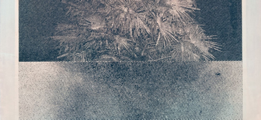 Croisements - Marie Vandooren Art contemporain