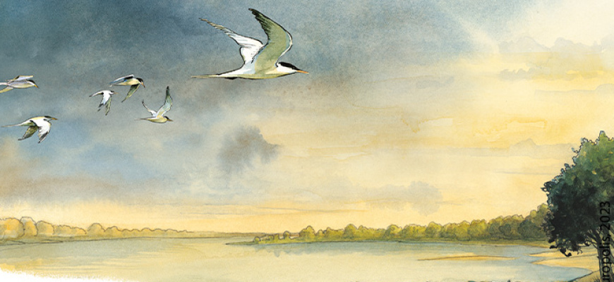 L'encre du fleuve : la Loire d'Étienne Davodeau Art graphique