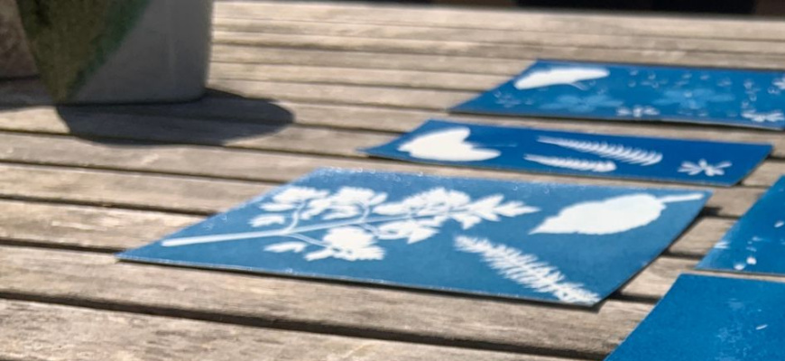 Découvrir le cyanotype Atelier/Stage