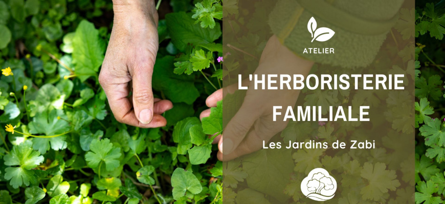 Herboristerie familiale - atelier au fil des saisons Atelier/Stage