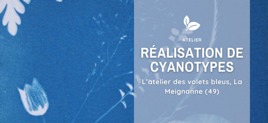 Réalisation de cyanotype Atelier/Stage