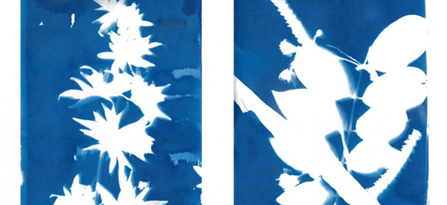 Atelier cyanotype Atelier/Stage