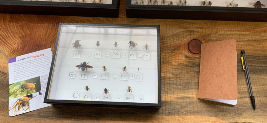Escape game Mission pollinisateurs Animation