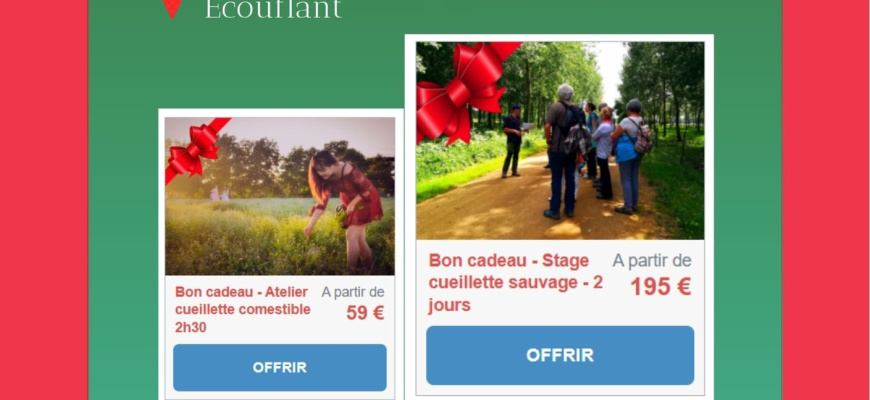 Stage weekend cueillette comestibles et médicinales Atelier/Stage