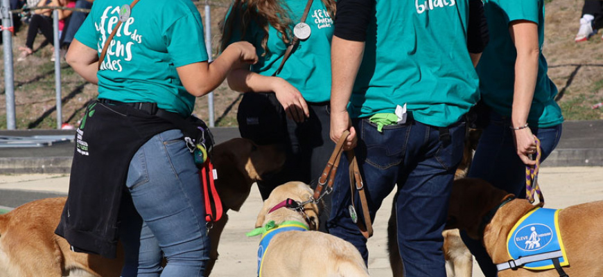 Journée portes ouvertes de l&#039;école des chiens guides d&#039;aveugles de l&#039;Ouest Visites et sorties