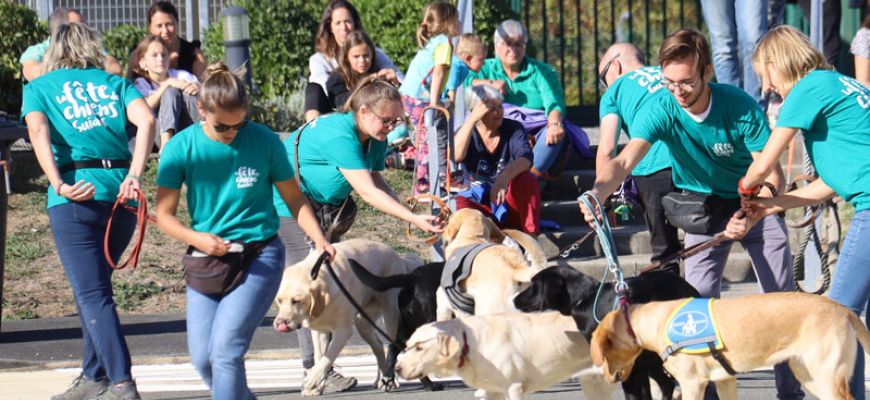Journée portes ouvertes de l&#039;école des chiens guides d&#039;aveugles de l&#039;Ouest Visites et sorties