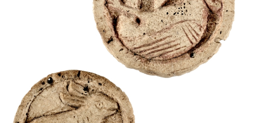 Journées européennes de l'archéologie Visites et sorties