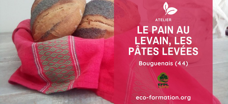 Le pain au levain, les pâtes levées Atelier/Stage