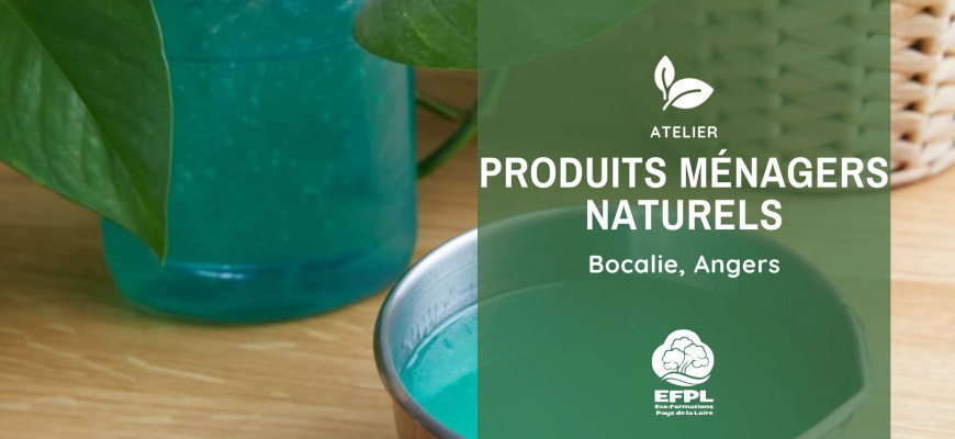 produits ménagers Atelier/Stage