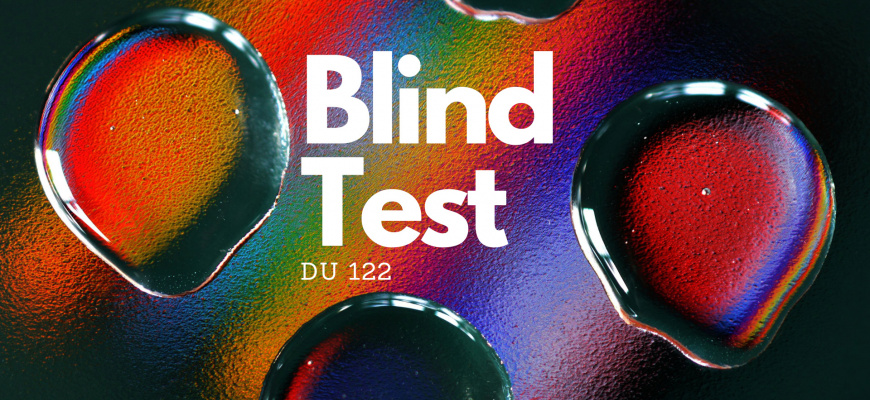 Blind test : succès sans lendemain Animation