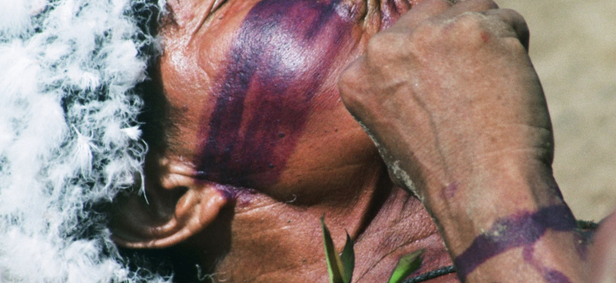FESTIVAL ANAKO YANOMAMI LES VOIX DE LA FORET Festival