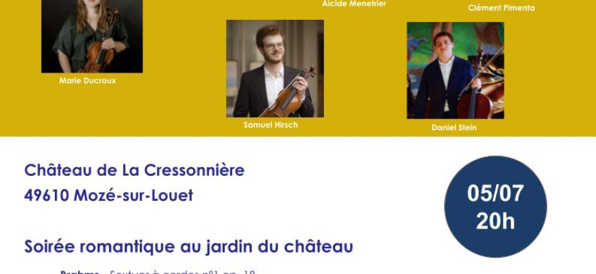 9° festival des Cordes de Loire du 5 au 13 juillet Festival