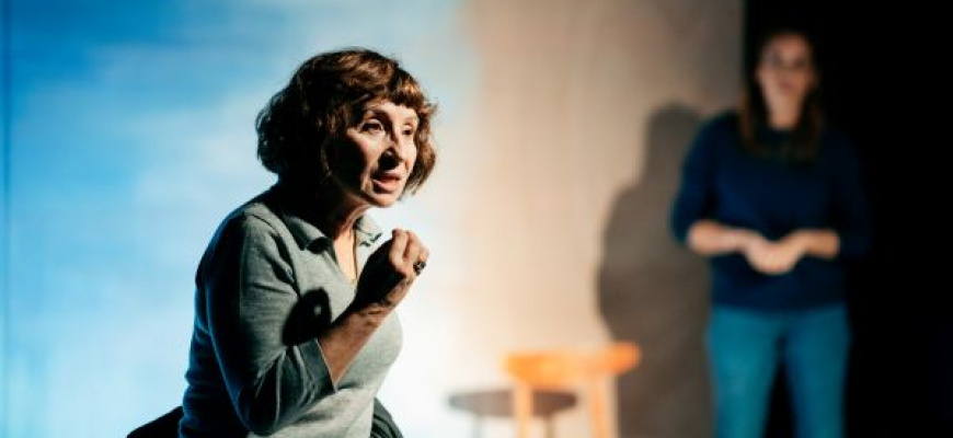 Gisèle Halimi, une farouche liberté Théâtre