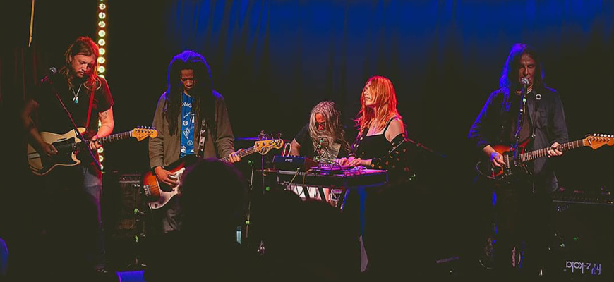 The Telescopes Rock/Pop/Folk