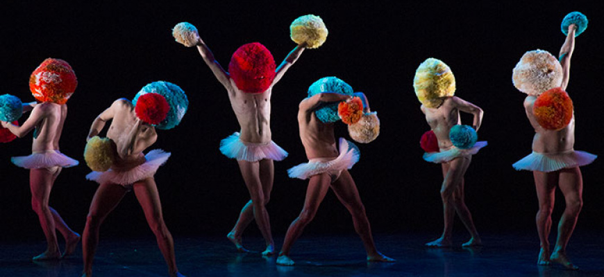 Tutu - Chicos Mambo Danse