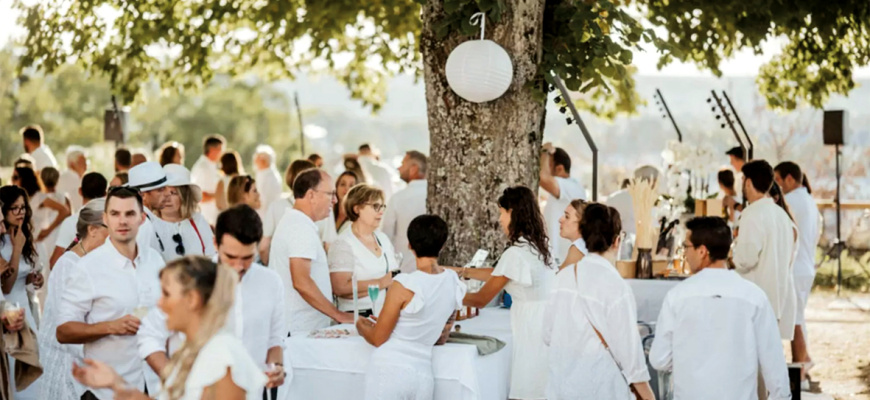 Festivini 2024