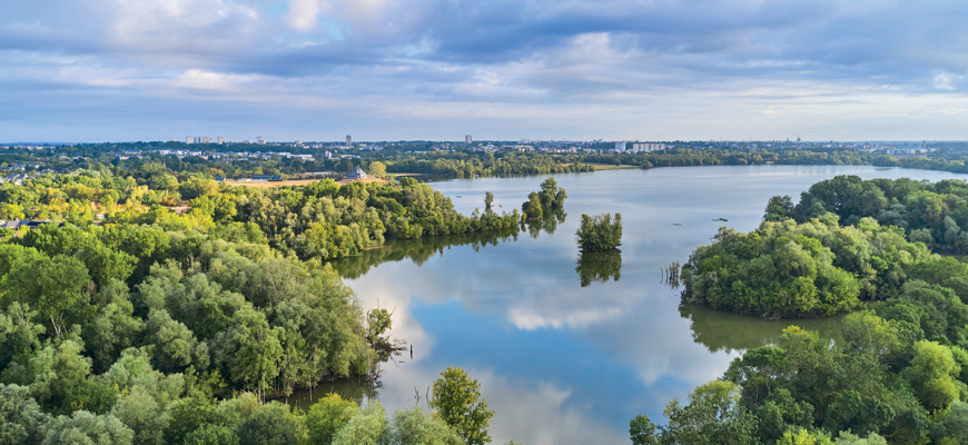 Le Angers de Bermud