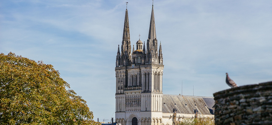 Les rendez-vous du week-end à Angers 