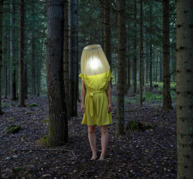 Why not - Elina Brotherus