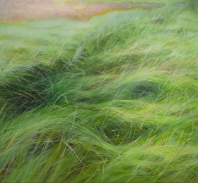 Image Herbes folles // Yuzi Wu Peinture