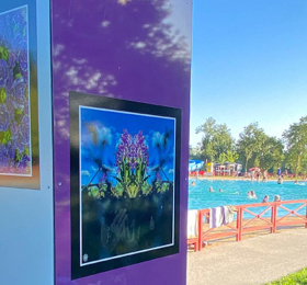 Image Expositions « reliance » et « viv(r)e le sport » Photographie