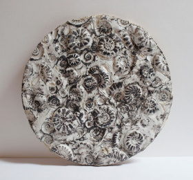 Image Évolution // Simon Pavec Art contemporain