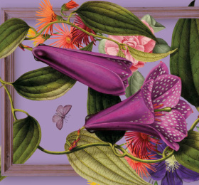 Image L'art en cé jardins 9ème édition