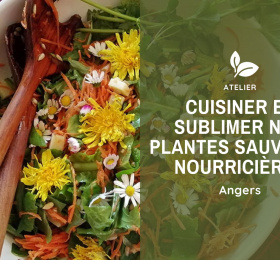 Image Cuisiner et sublimer nos plantes sauvages nourricières Atelier/Stage