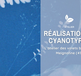 Image Réalisation de cyanotype Atelier/Stage