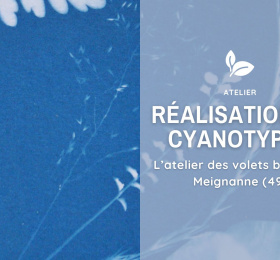 Réalisation de cyanotype