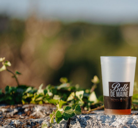 Faire sa bière bio à la maison