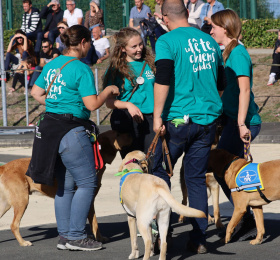 Image Journée portes ouvertes de l'école des chiens guides d'aveugles de l'Ouest Visites et sorties