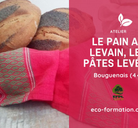 Le pain au levain, les pâtes levées