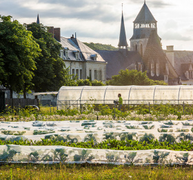 Image Tous au jardin ! Visites et sorties