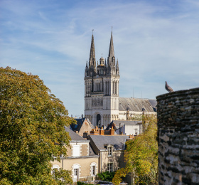 Image Les rendez-vous du week-end à Angers